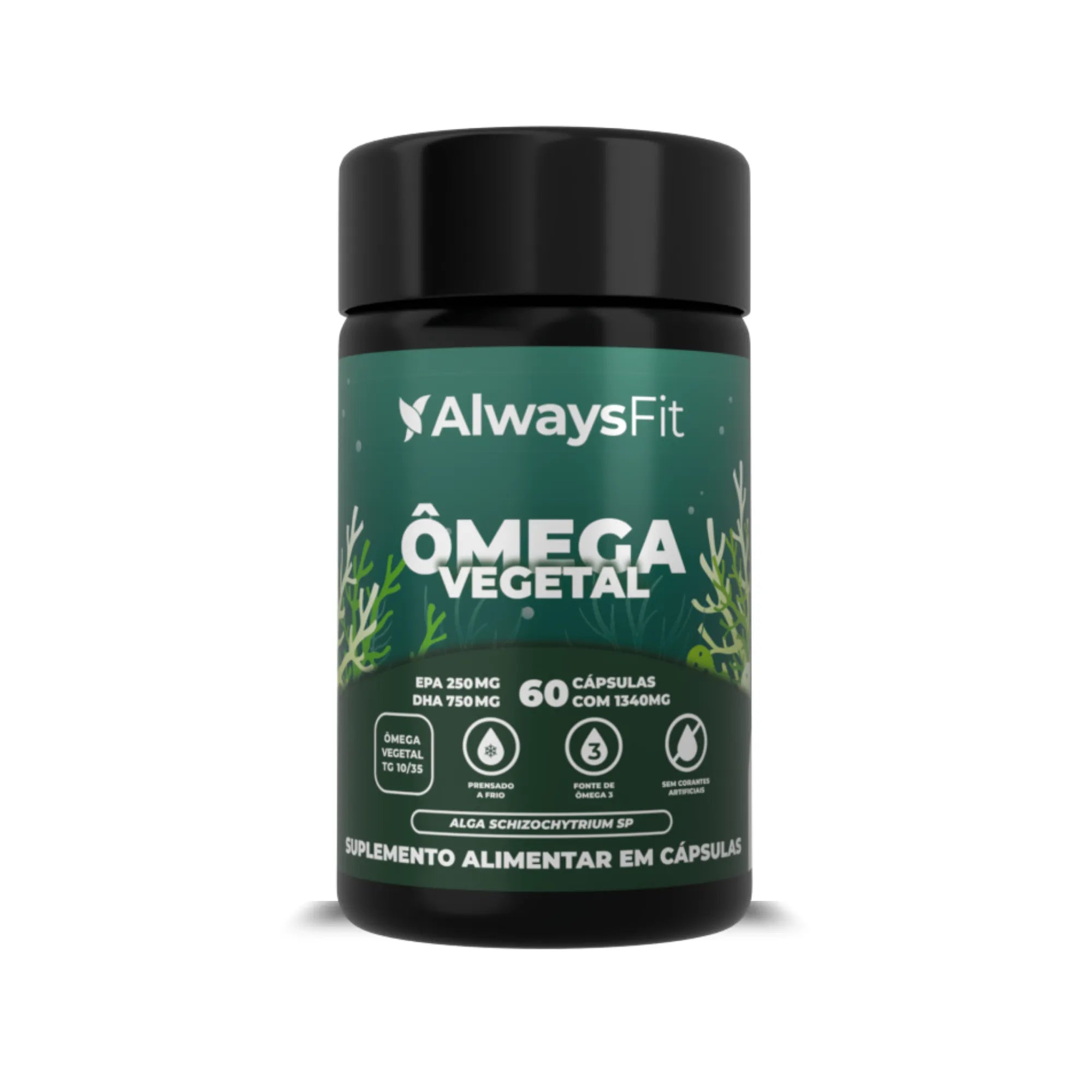 Ômega 3 Vegetal — Suplemento alimentar de ácidos graxos ômega 3 em cápsulas