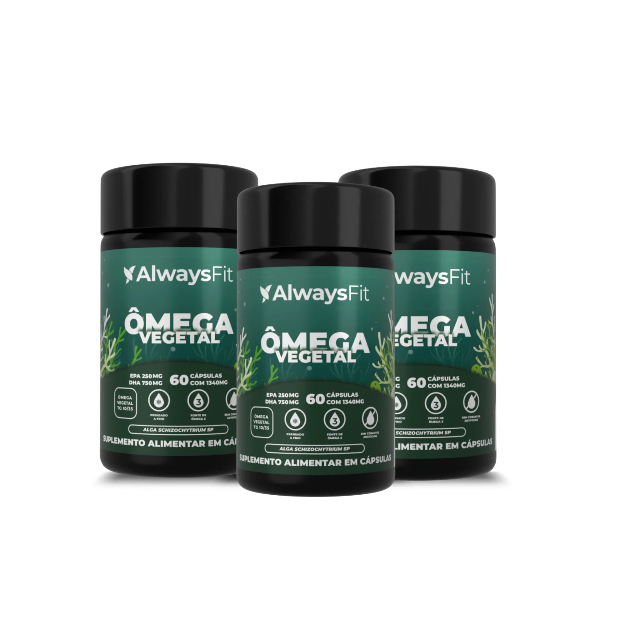 Ômega 3 Vegetal — Suplemento alimentar de ácidos graxos ômega 3 em cápsulas